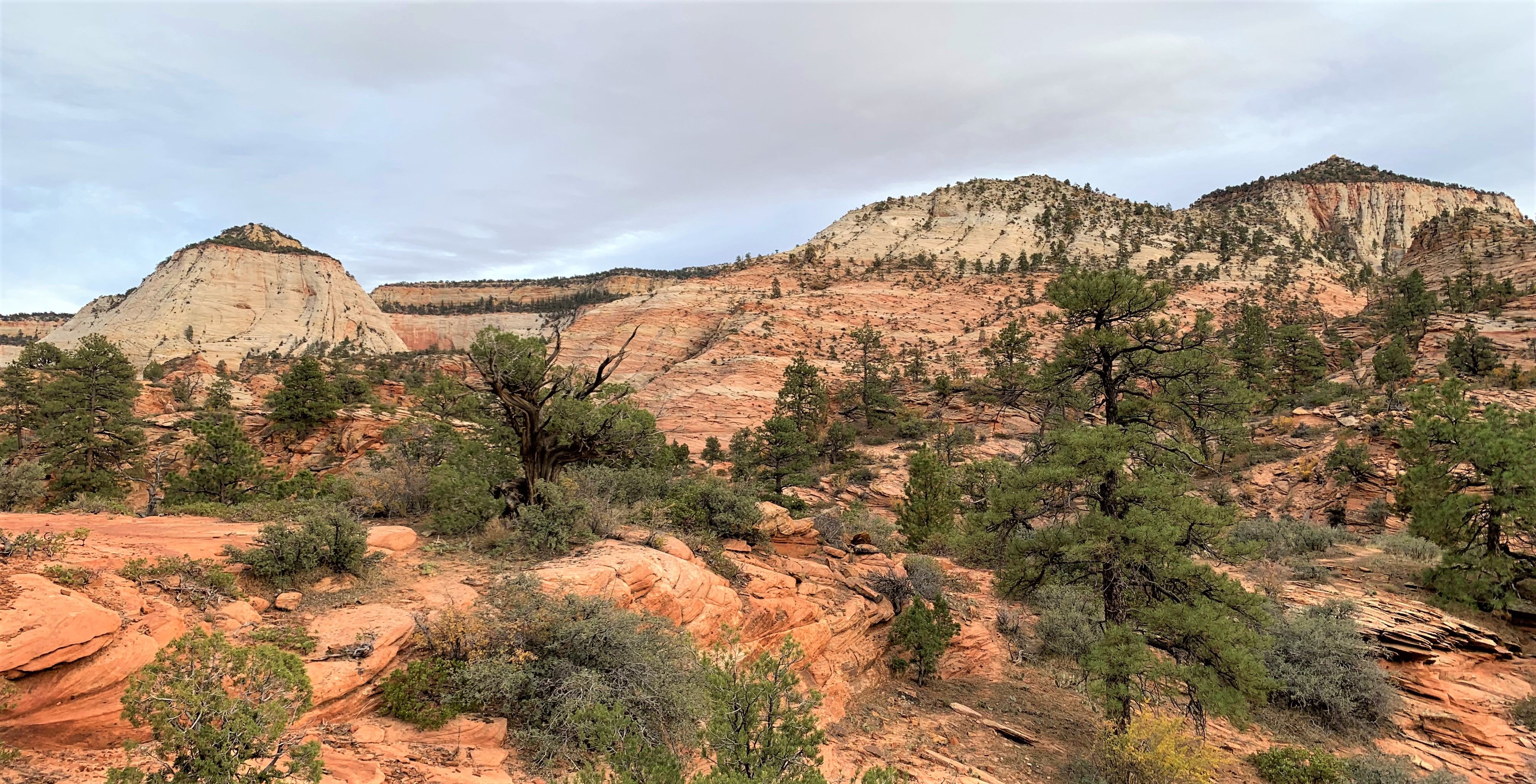 Zion NP